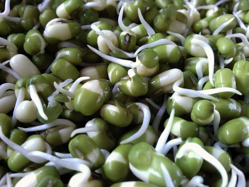 Fresh Green Beans
